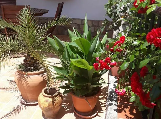 بيت للعطل Atalaya A Pie De Playa