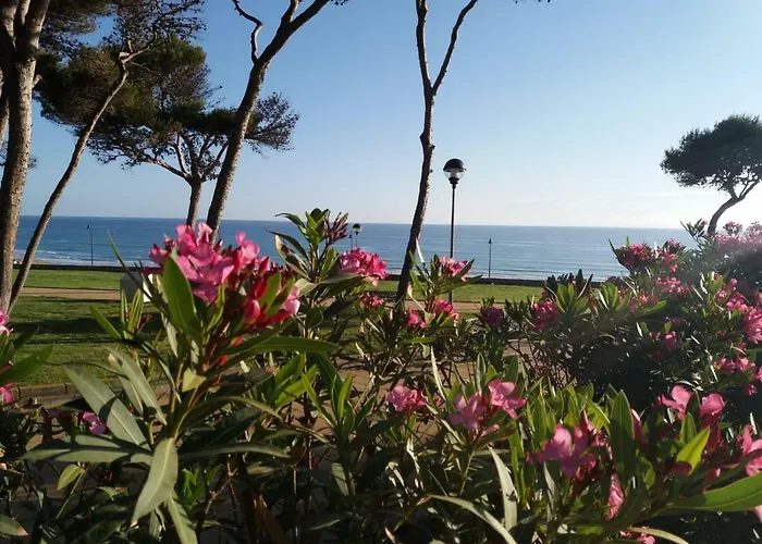 Atalaya A Pie De Playa 別荘